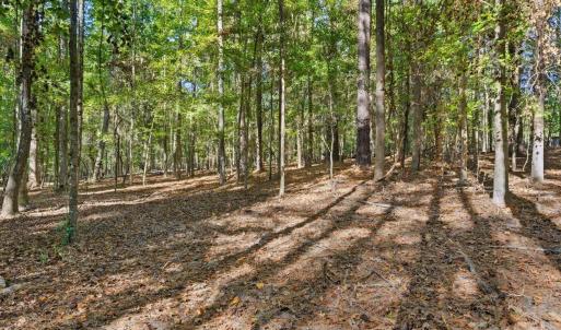 Photo #13 of Rehobeth, Waxhaw, NC