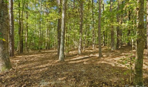 Photo #11 of Rehobeth, Waxhaw, NC