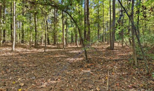 Photo #5 of Rehobeth, Waxhaw, NC