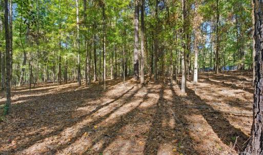 Photo #4 of Rehobeth, Waxhaw, NC