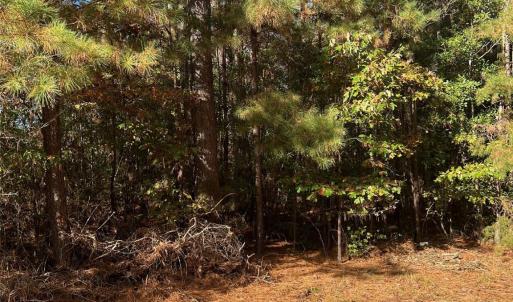 Photo #2 of Horton, Wadesboro, NC