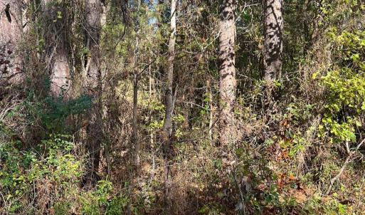 Photo #3 of Horton, Wadesboro, NC