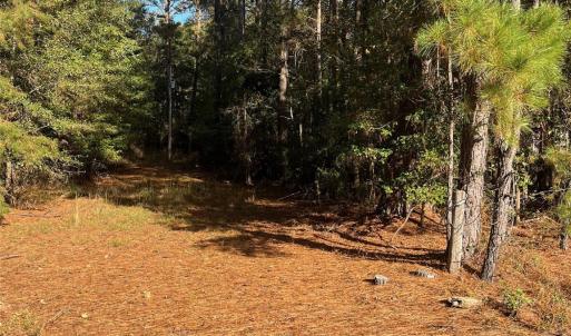 Photo #1 of Horton, Wadesboro, NC