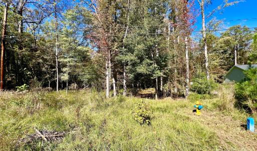 Photo #2 of Riveroaks, Lancaster, SC