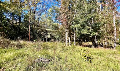 Photo #1 of Riveroaks, Lancaster, SC