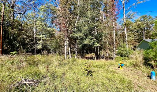Photo #1 of Riveroaks, Lancaster, SC