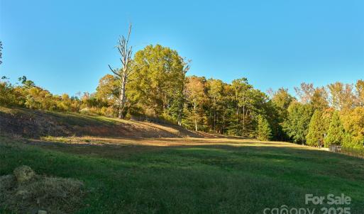 Photo #5 of 12 Capullo, Wesley Chapel, NC