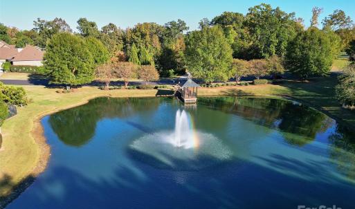 Photo #9 of 12 Capullo, Wesley Chapel, NC