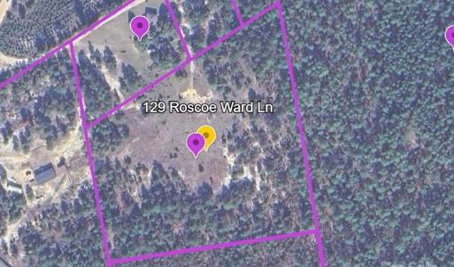 Photo #1 of 129 Roscoe, Patrick, SC