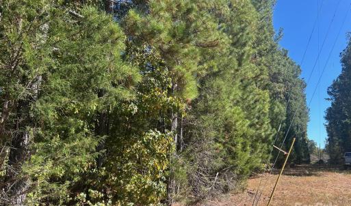 Photo #17 of 5 AC Ernandez, Richburg, SC