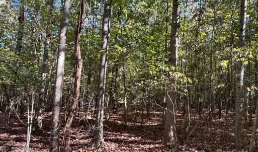 Photo #24 of 5 AC Ernandez, Richburg, SC