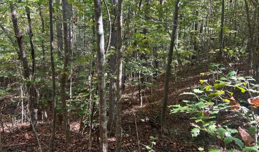 Photo #31 of 5 AC Ernandez, Richburg, SC