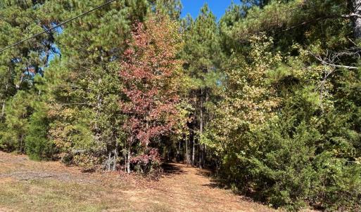 Photo #19 of 5 AC Ernandez, Richburg, SC