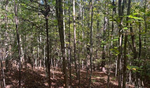 Photo #32 of 5 AC Ernandez, Richburg, SC