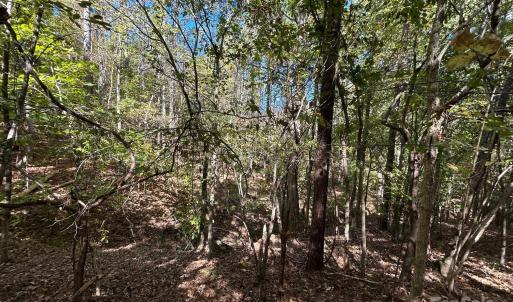 Photo #38 of 5 AC Ernandez, Richburg, SC