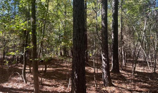 Photo #4 of 5 AC Ernandez, Richburg, SC