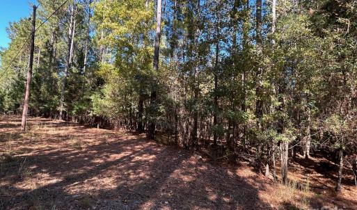 Photo #10 of 5 AC Ernandez, Richburg, SC