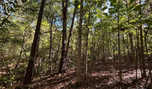 Photo #30 of 5 AC Ernandez, Richburg, SC