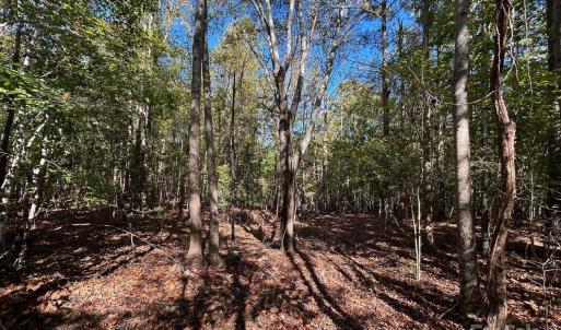 Photo #25 of 5 AC Ernandez, Richburg, SC