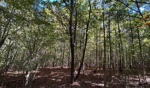 Photo #26 of 5 AC Ernandez, Richburg, SC