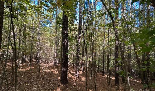 Photo #37 of 5 AC Ernandez, Richburg, SC