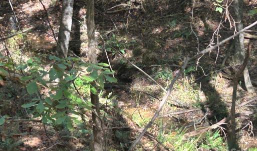 Photo #35 of 5 AC Ernandez, Richburg, SC