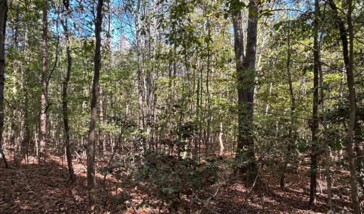 Photo #22 of 5 AC Ernandez, Richburg, SC