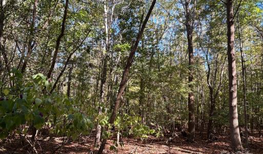 Photo #21 of 5 AC Ernandez, Richburg, SC