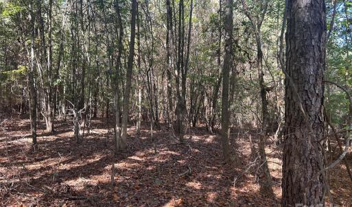 Photo #7 of 5 AC Ernandez, Richburg, SC