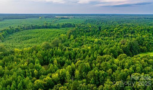 Photo #9 of Daystar, Lancaster, SC