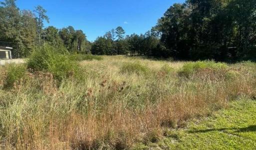 Photo #1 of 8756 Wilson, Columbia, SC