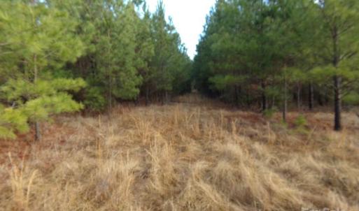 Photo #6 of 15.55 Ac Cedarhurst, Chester, SC