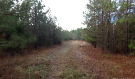 Photo #5 of 15.55 Ac Cedarhurst, Chester, SC