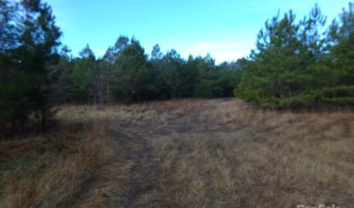 Photo #8 of 15.55 Ac Cedarhurst, Chester, SC