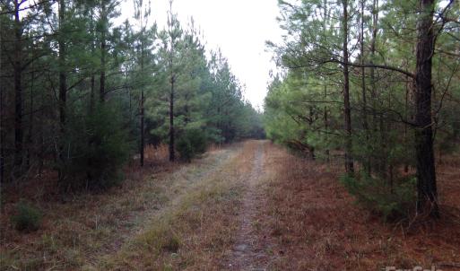 Photo #4 of 15.55 Ac Cedarhurst, Chester, SC