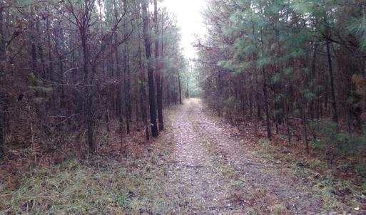 Photo #7 of 38 Ac Cedarhurst, Chester, SC