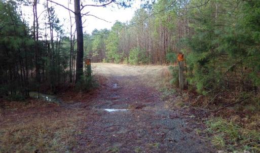 Photo #6 of 38 Ac Cedarhurst, Chester, SC