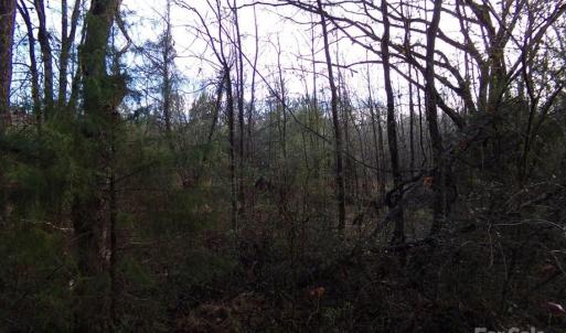 Photo #11 of 38 Ac Cedarhurst, Chester, SC