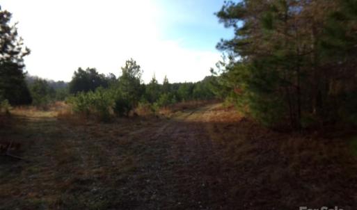 Photo #3 of 38 Ac Cedarhurst, Chester, SC