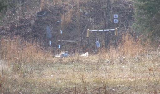 Photo #8 of 38 Ac Cedarhurst, Chester, SC