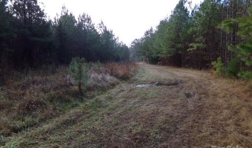 Photo #9 of 38 Ac Cedarhurst, Chester, SC