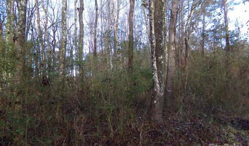 Photo #12 of 38 Ac Cedarhurst, Chester, SC