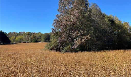 Photo #2 of VAC Highway 52 S, Norwood, NC