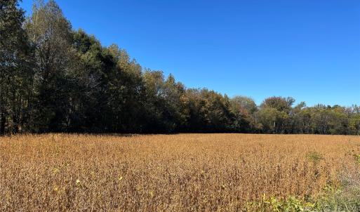 Photo #3 of VAC Highway 52 S, Norwood, NC