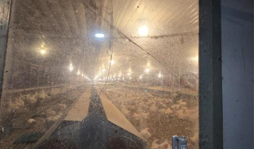 Photo #9 of 2955 Wrenn, Prospect Hill, NC