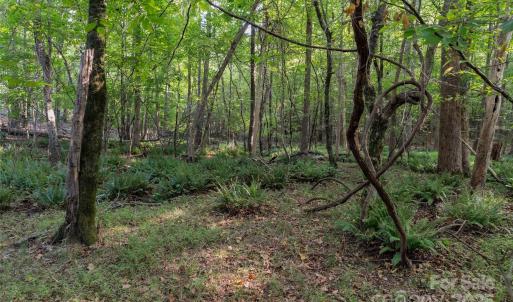 Photo #42 of 1016 Oakshire, Waxhaw, NC