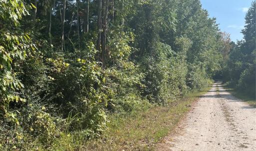 Photo #2 of Bath, Lancaster, SC