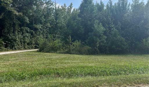 Photo #4 of Bath, Lancaster, SC