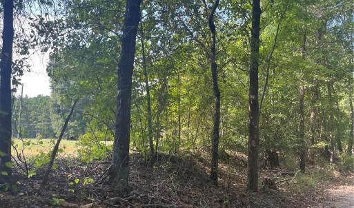 Photo #3 of Bath, Lancaster, SC