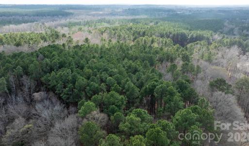 Photo #10 of Bath, Lancaster, SC